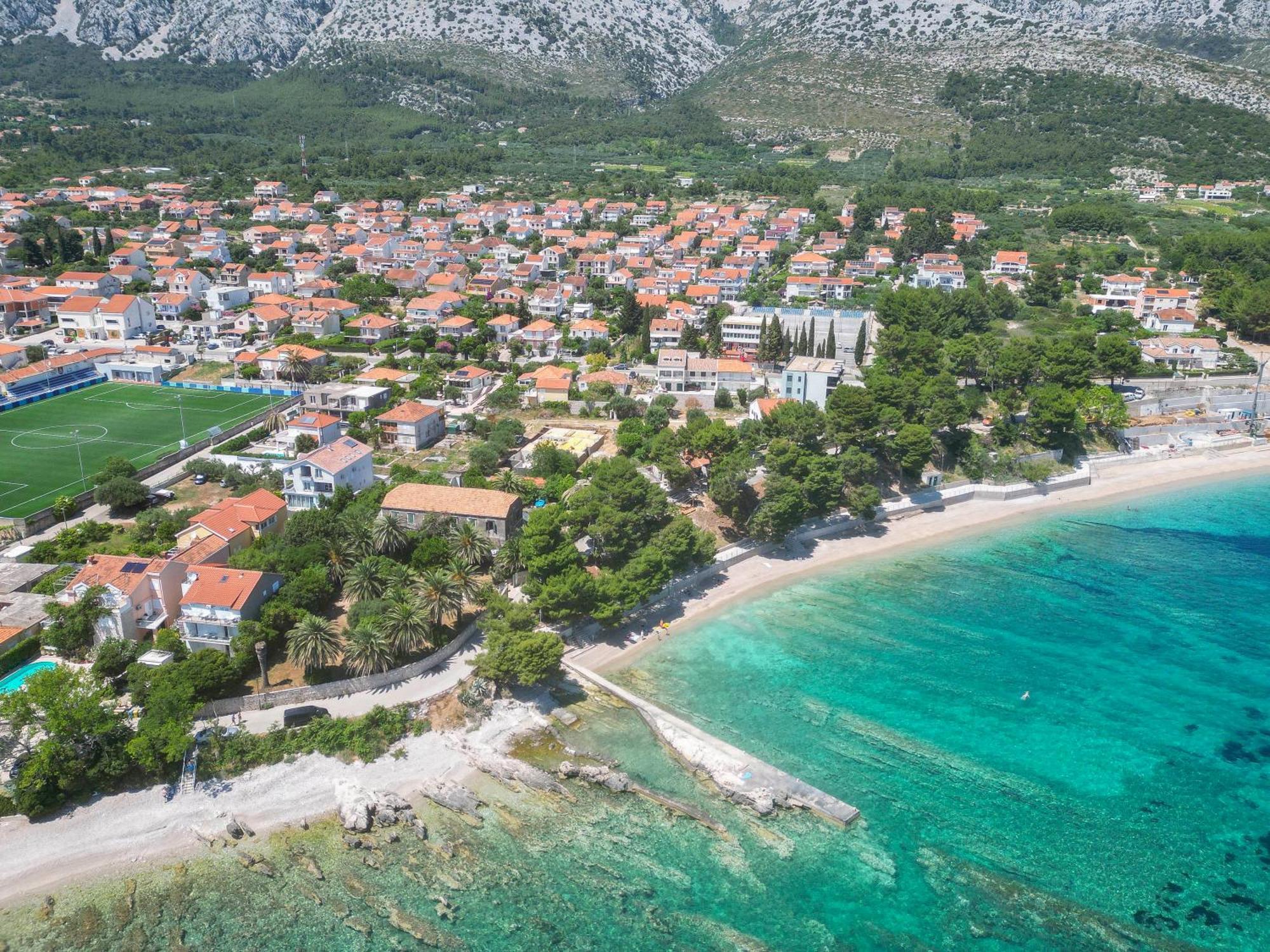 Oliva
